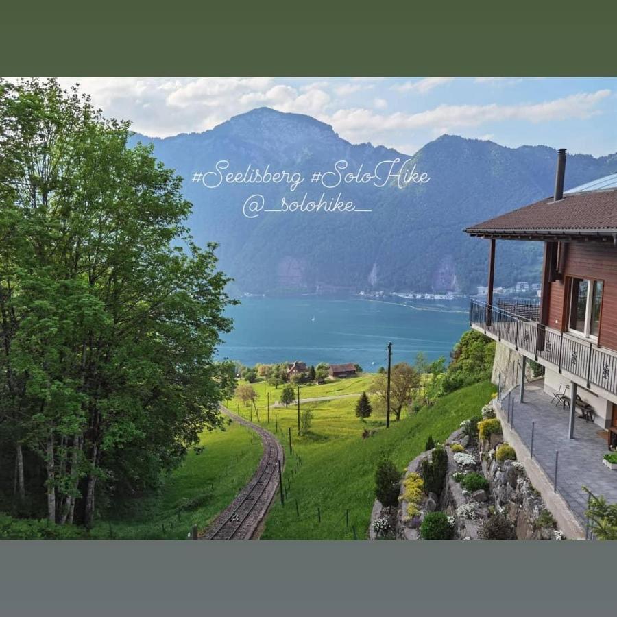 Schoene Ferienwohnung In Traumlage Fewo Solohike Seelisberg Exterior foto